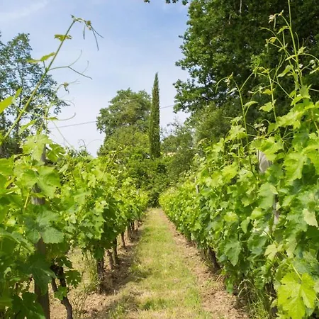Saint-emilion Chateau Sleeps 16 Pool Wifi